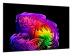 Televizors LG OLED65G61LW