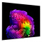 Televizors LG OLED65G61LW