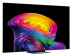 Televizors LG OLED83C61LA+S95TR.DEUSLLK