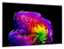 Televizors LG OLED55G61LW+S90TY.DEUSLLK