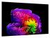 Televizors LG OLED65G61LW+S90TY.DEUSLLK